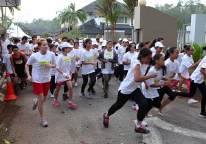 CMS Health Run 2013